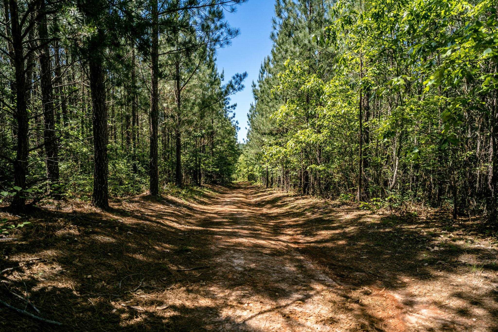 Lot 4 GREEN CREEK RD, SCHUYLER, Virginia 22969, ,Farm,14,Lot 4 GREEN CREEK RD,670317 MLS # 670317 Lot 4 GREEN CREEK RD, SCHUYLER, Virginia 22969, ,Farm,14,Lot 4 GREEN CREEK RD,670317 MLS # 670317