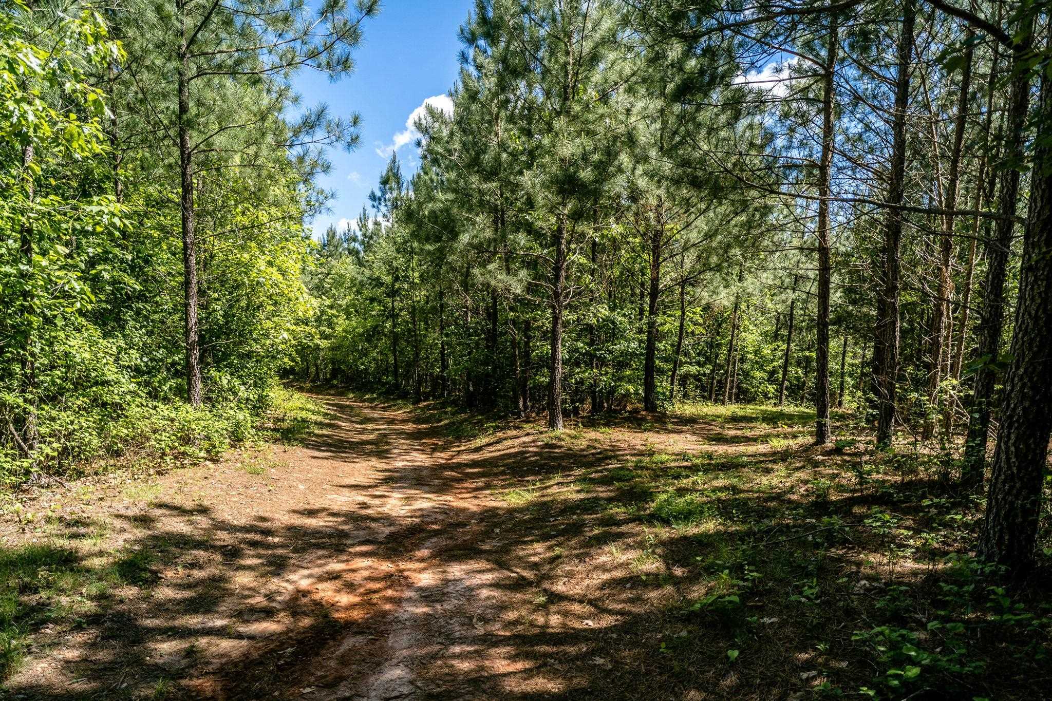 Lot 4 GREEN CREEK RD, SCHUYLER, Virginia 22969, ,Farm,14,Lot 4 GREEN CREEK RD,670317 MLS # 670317 Lot 4 GREEN CREEK RD, SCHUYLER, Virginia 22969, ,Farm,14,Lot 4 GREEN CREEK RD,670317 MLS # 670317