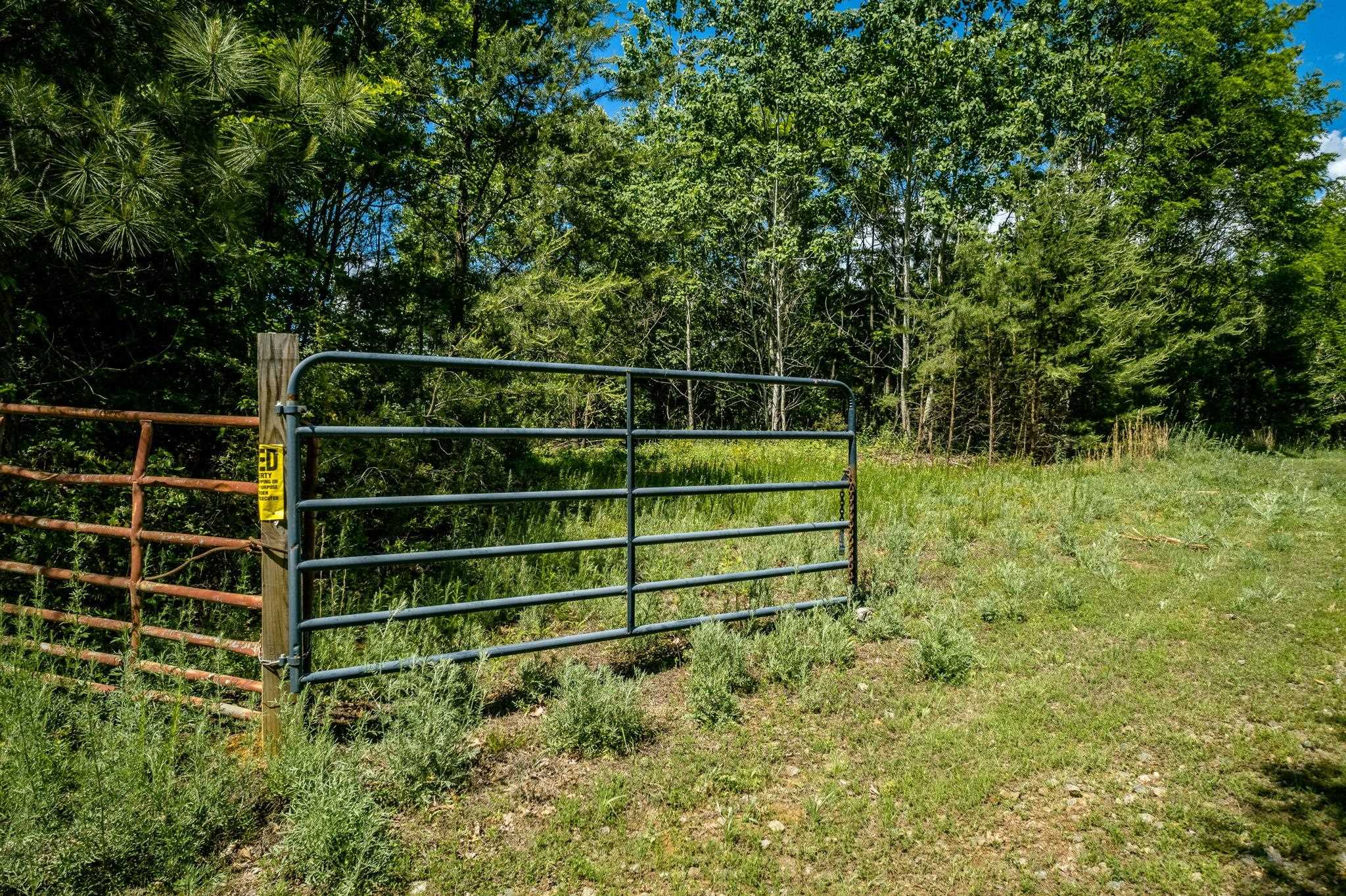 Lot 4 GREEN CREEK RD, SCHUYLER, Virginia 22969, ,Farm,14,Lot 4 GREEN CREEK RD,670317 MLS # 670317 Lot 4 GREEN CREEK RD, SCHUYLER, Virginia 22969, ,Farm,14,Lot 4 GREEN CREEK RD,670317 MLS # 670317