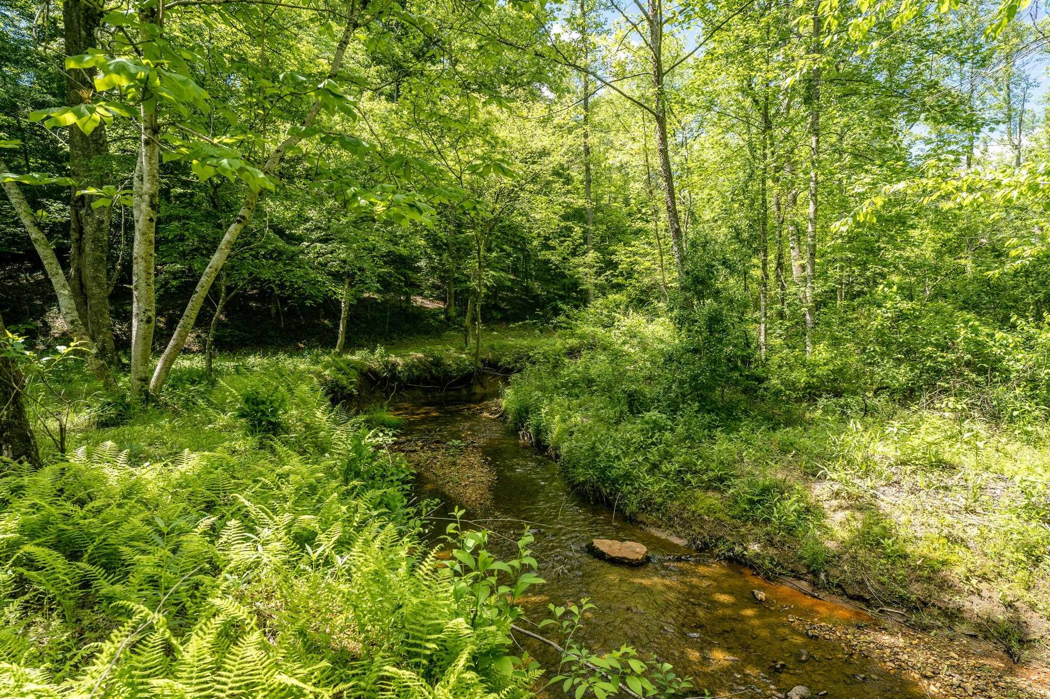 Lot 4 GREEN CREEK RD, SCHUYLER, Virginia 22969, ,Farm,14,Lot 4 GREEN CREEK RD,670317 MLS # 670317 Lot 4 GREEN CREEK RD, SCHUYLER, Virginia 22969, ,Farm,14,Lot 4 GREEN CREEK RD,670317 MLS # 670317
