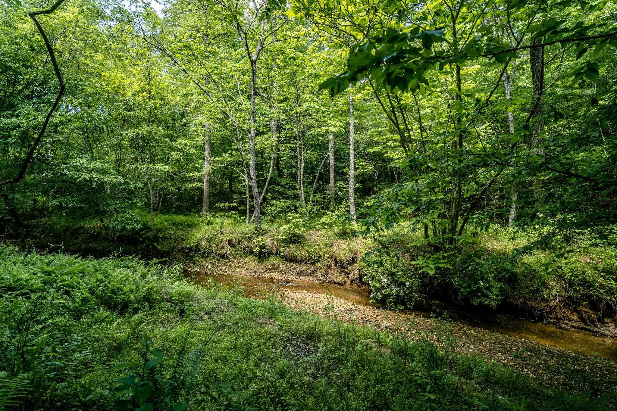 Lot 4 GREEN CREEK RD, SCHUYLER, Virginia 22969, ,Farm,14,Lot 4 GREEN CREEK RD,670317 MLS # 670317 Lot 4 GREEN CREEK RD, SCHUYLER, Virginia 22969, ,Farm,14,Lot 4 GREEN CREEK RD,670317 MLS # 670317