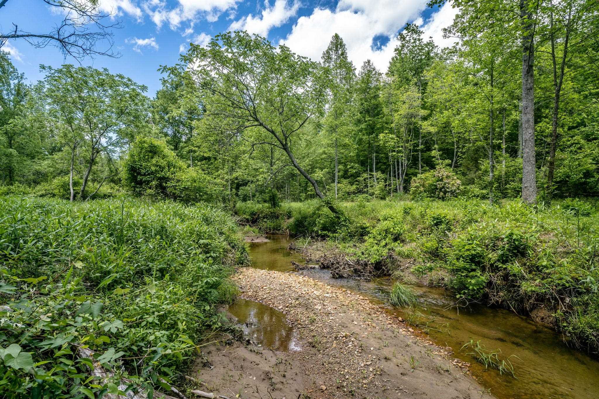Lot 4 GREEN CREEK RD, SCHUYLER, Virginia 22969, ,Farm,14,Lot 4 GREEN CREEK RD,670317 MLS # 670317 Lot 4 GREEN CREEK RD, SCHUYLER, Virginia 22969, ,Farm,14,Lot 4 GREEN CREEK RD,670317 MLS # 670317