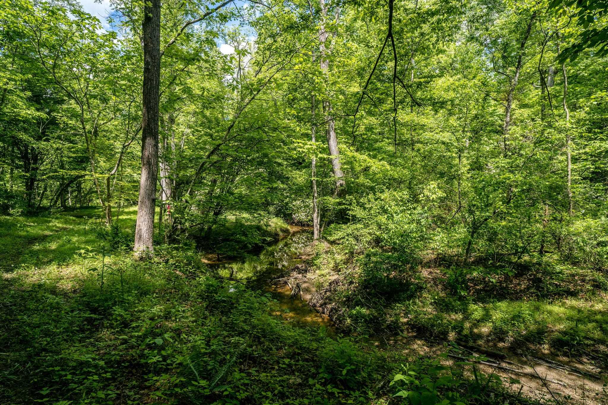 Lot 4 GREEN CREEK RD, SCHUYLER, Virginia 22969, ,Farm,14,Lot 4 GREEN CREEK RD,670317 MLS # 670317 Lot 4 GREEN CREEK RD, SCHUYLER, Virginia 22969, ,Farm,14,Lot 4 GREEN CREEK RD,670317 MLS # 670317
