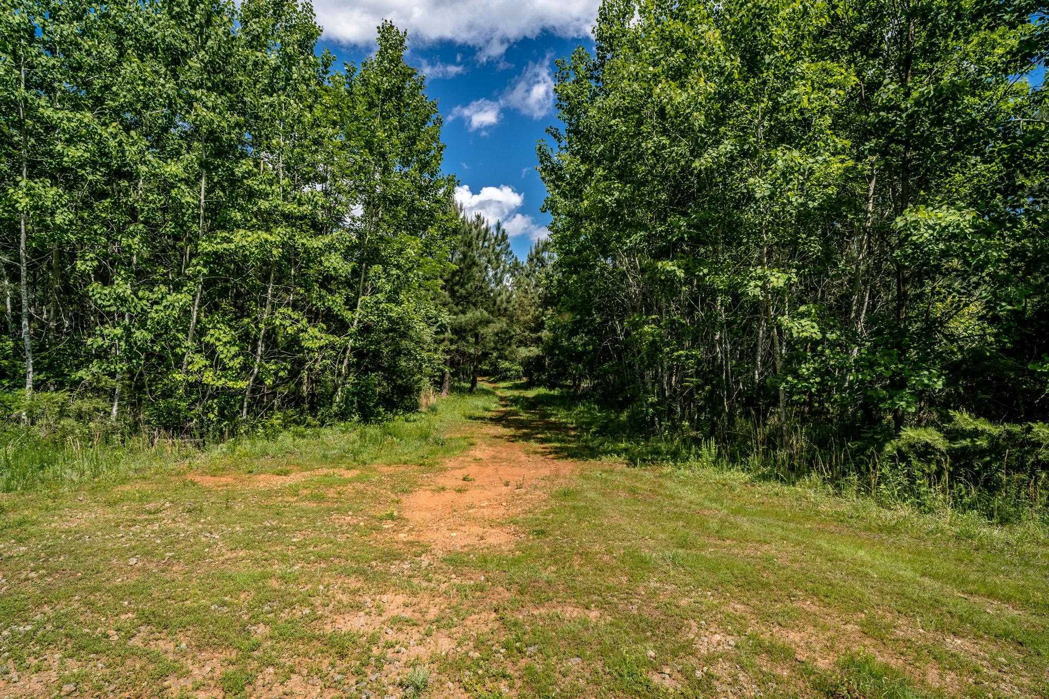 Lot 4 GREEN CREEK RD, SCHUYLER, Virginia 22969, ,Farm,14,Lot 4 GREEN CREEK RD,670317 MLS # 670317 Lot 4 GREEN CREEK RD, SCHUYLER, Virginia 22969, ,Farm,14,Lot 4 GREEN CREEK RD,670317 MLS # 670317
