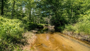 Lot 4 GREEN CREEK RD, SCHUYLER, Virginia 22969, ,Farm,14,Lot 4 GREEN CREEK RD,670317 MLS # 670317