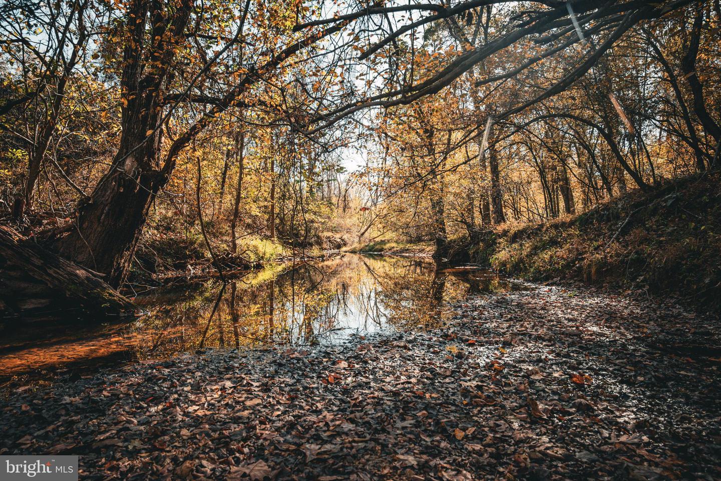 14603 COX MILL RD, GORDONSVILLE, Virginia 22942, ,Farm,For Sale,14603 COX MILL RD,VAOR2012628 MLS # VAOR2012628 14603 COX MILL RD, GORDONSVILLE, Virginia 22942, ,Farm,For Sale,14603 COX MILL RD,VAOR2012628 MLS # VAOR2012628