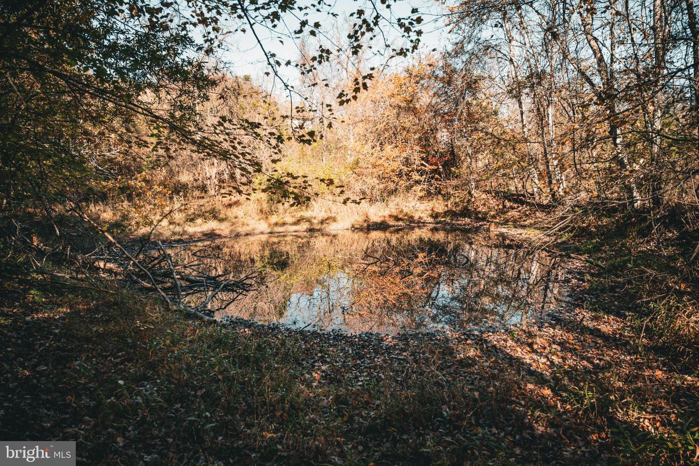 14603 COX MILL RD, GORDONSVILLE, Virginia 22942, ,Farm,For Sale,14603 COX MILL RD,VAOR2012628 MLS # VAOR2012628 14603 COX MILL RD, GORDONSVILLE, Virginia 22942, ,Farm,For Sale,14603 COX MILL RD,VAOR2012628 MLS # VAOR2012628