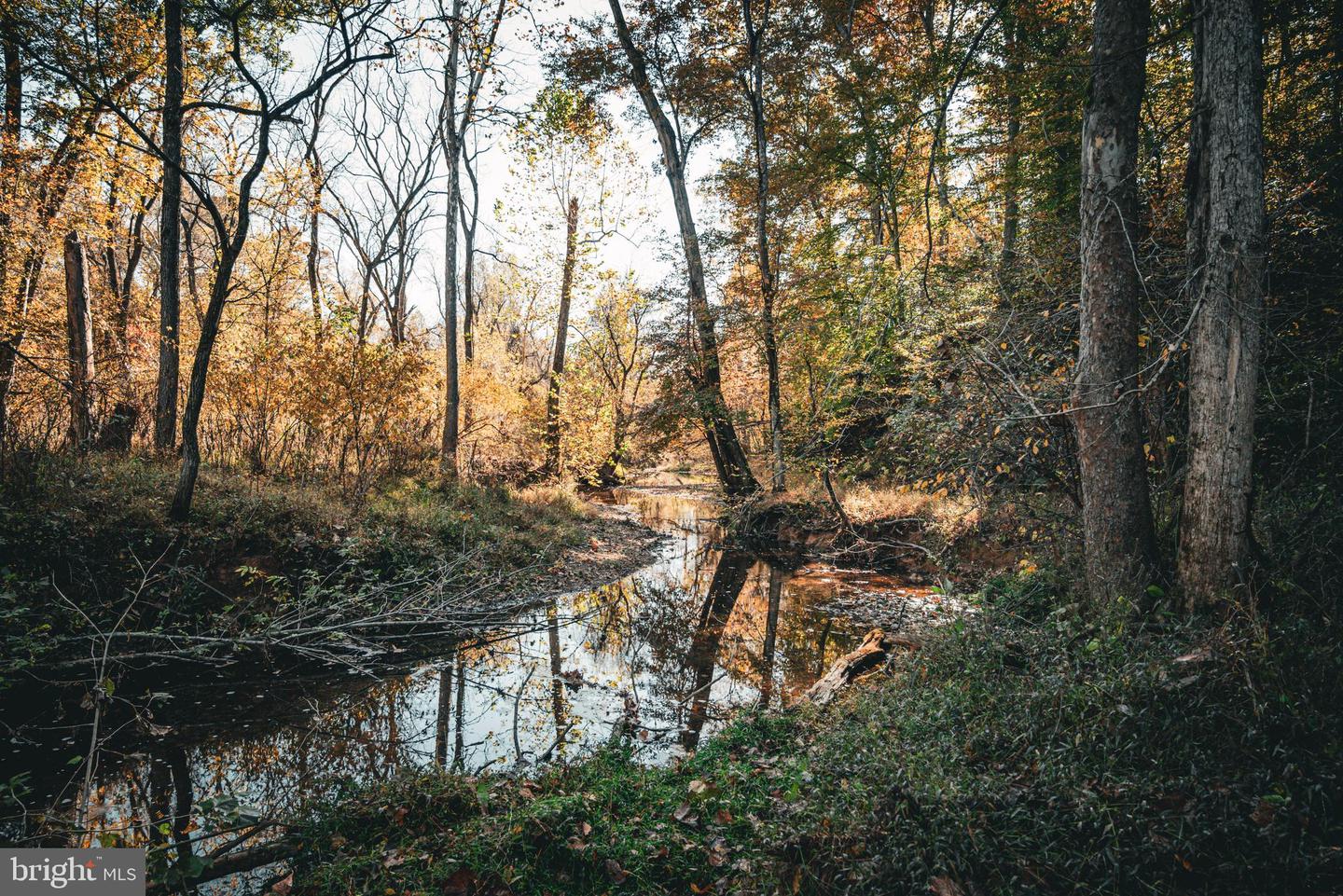 14603 COX MILL RD, GORDONSVILLE, Virginia 22942, ,Farm,For Sale,14603 COX MILL RD,VAOR2012628 MLS # VAOR2012628 14603 COX MILL RD, GORDONSVILLE, Virginia 22942, ,Farm,For Sale,14603 COX MILL RD,VAOR2012628 MLS # VAOR2012628