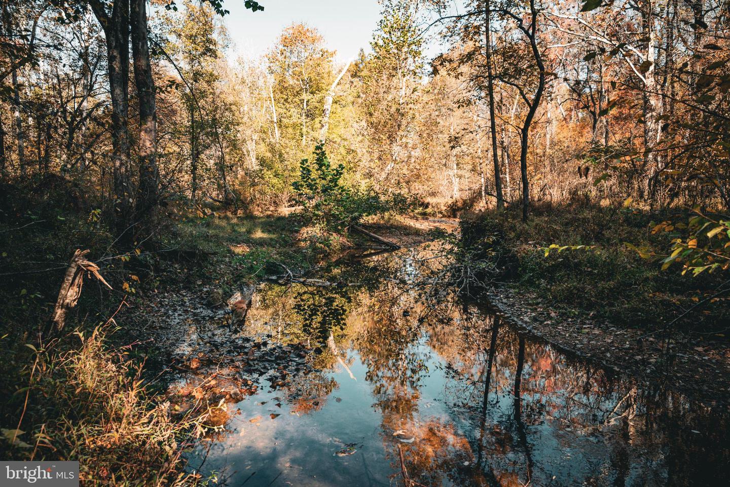 14603 COX MILL RD, GORDONSVILLE, Virginia 22942, ,Farm,For Sale,14603 COX MILL RD,VAOR2012628 MLS # VAOR2012628 14603 COX MILL RD, GORDONSVILLE, Virginia 22942, ,Farm,For Sale,14603 COX MILL RD,VAOR2012628 MLS # VAOR2012628