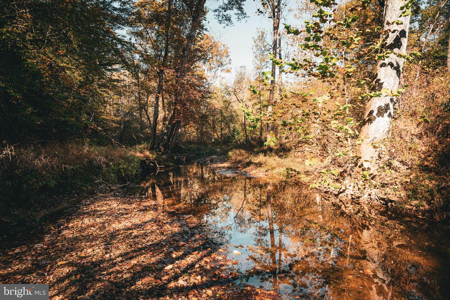 14603 COX MILL RD, GORDONSVILLE, Virginia 22942, ,Farm,For Sale,14603 COX MILL RD,VAOR2012628 MLS # VAOR2012628 14603 COX MILL RD, GORDONSVILLE, Virginia 22942, ,Farm,For Sale,14603 COX MILL RD,VAOR2012628 MLS # VAOR2012628