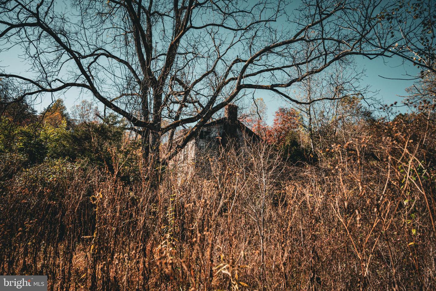 14603 COX MILL RD, GORDONSVILLE, Virginia 22942, ,Farm,For Sale,14603 COX MILL RD,VAOR2012628 MLS # VAOR2012628 14603 COX MILL RD, GORDONSVILLE, Virginia 22942, ,Farm,For Sale,14603 COX MILL RD,VAOR2012628 MLS # VAOR2012628