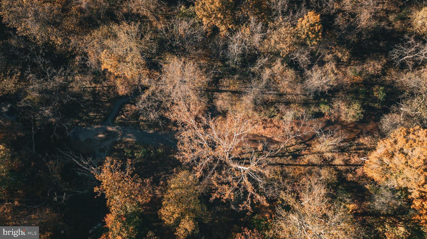 14603 COX MILL RD, GORDONSVILLE, Virginia 22942, ,Farm,For Sale,14603 COX MILL RD,VAOR2012628 MLS # VAOR2012628 14603 COX MILL RD, GORDONSVILLE, Virginia 22942, ,Farm,For Sale,14603 COX MILL RD,VAOR2012628 MLS # VAOR2012628