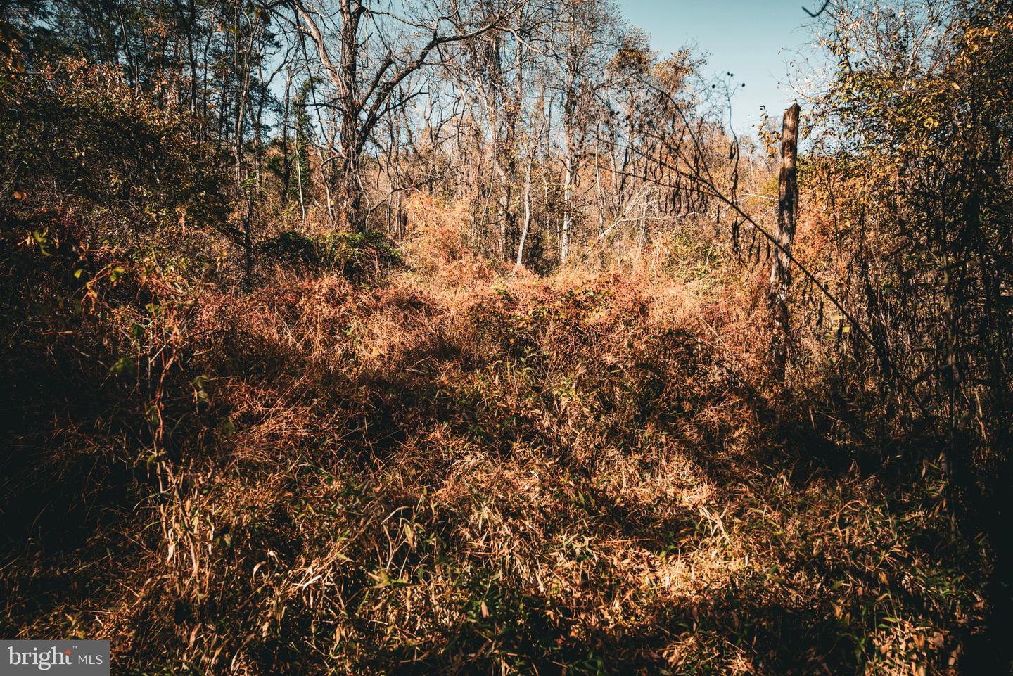 14603 COX MILL RD, GORDONSVILLE, Virginia 22942, ,Farm,For Sale,14603 COX MILL RD,VAOR2012628 MLS # VAOR2012628 14603 COX MILL RD, GORDONSVILLE, Virginia 22942, ,Farm,For Sale,14603 COX MILL RD,VAOR2012628 MLS # VAOR2012628