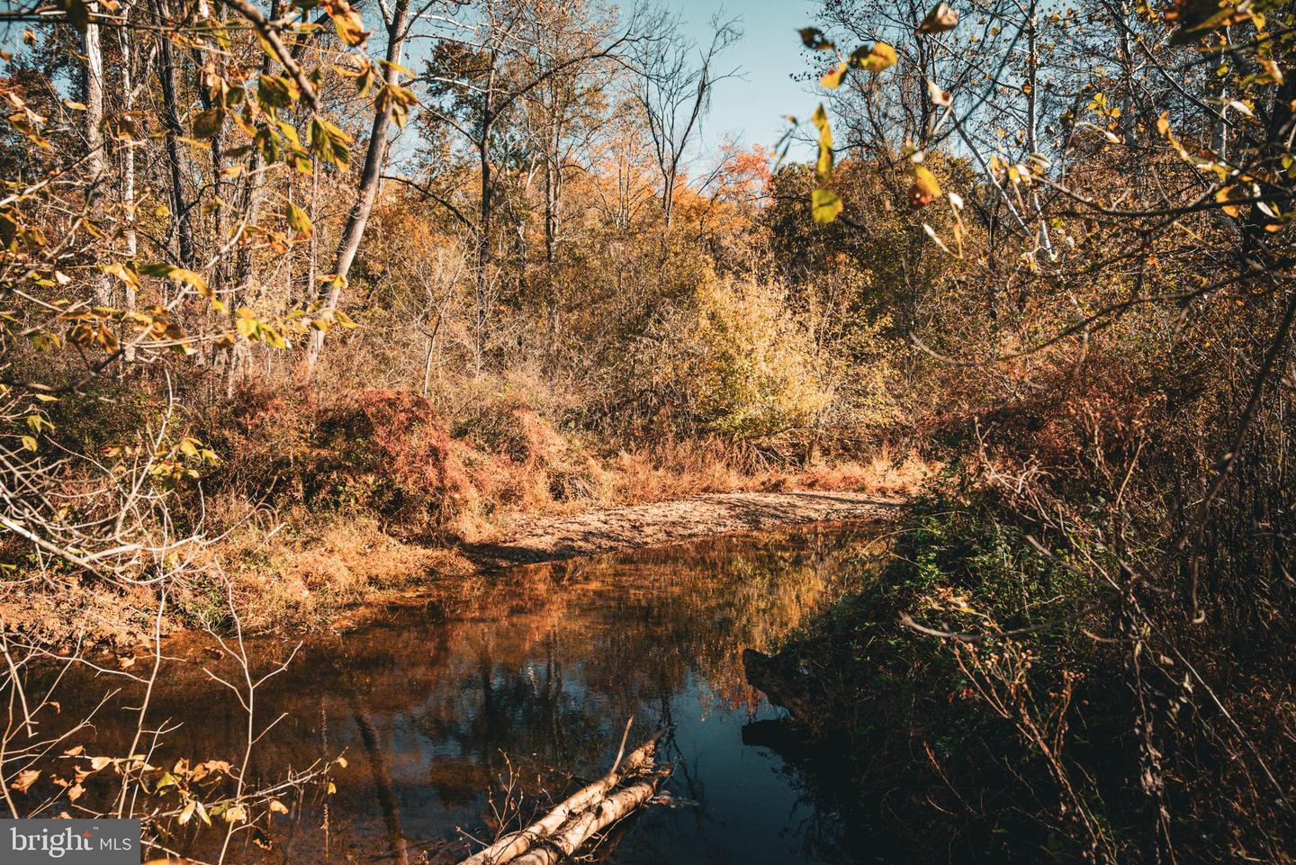 14603 COX MILL RD, GORDONSVILLE, Virginia 22942, ,Farm,For Sale,14603 COX MILL RD,VAOR2012628 MLS # VAOR2012628 14603 COX MILL RD, GORDONSVILLE, Virginia 22942, ,Farm,For Sale,14603 COX MILL RD,VAOR2012628 MLS # VAOR2012628