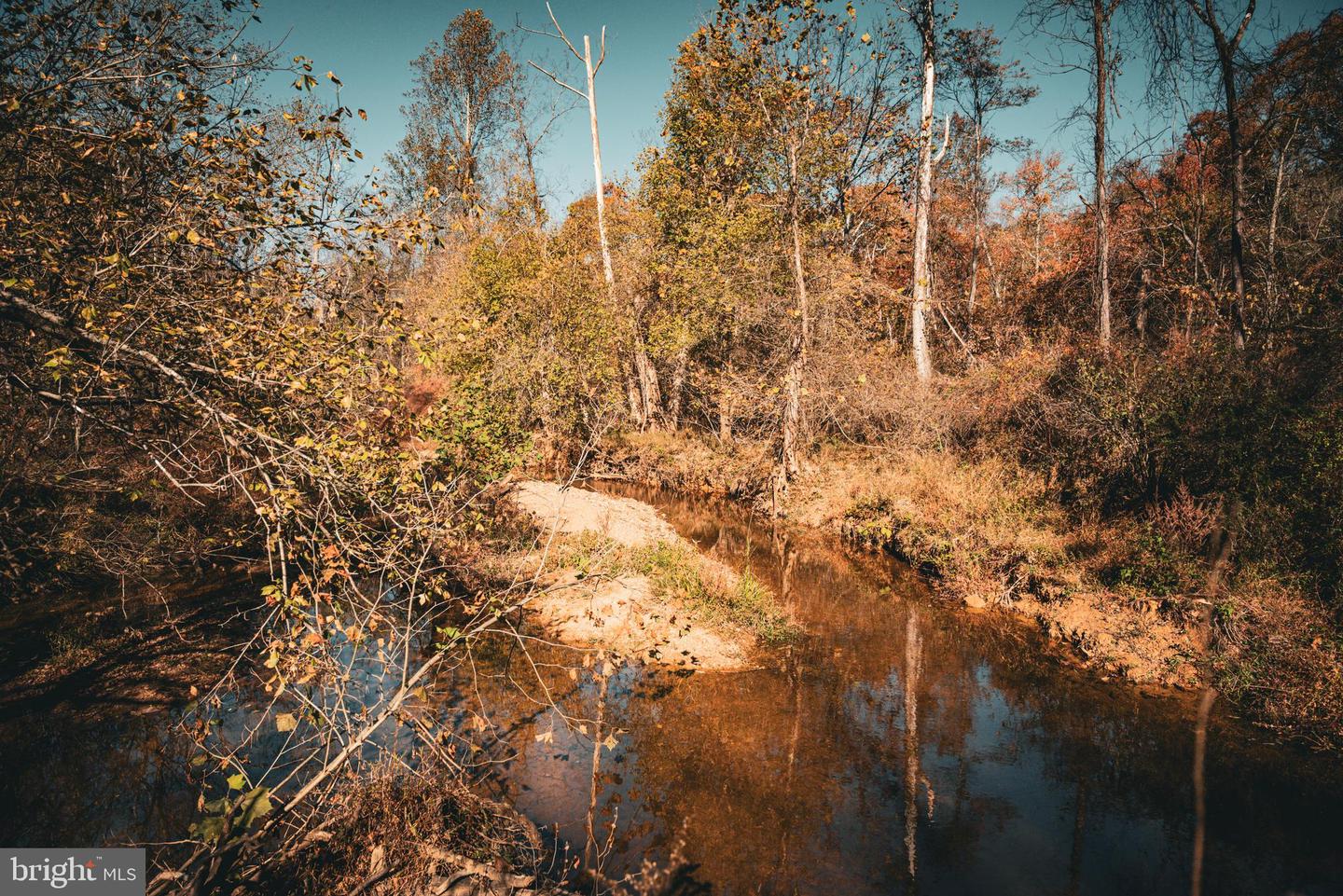 14603 COX MILL RD, GORDONSVILLE, Virginia 22942, ,Farm,For Sale,14603 COX MILL RD,VAOR2012628 MLS # VAOR2012628 14603 COX MILL RD, GORDONSVILLE, Virginia 22942, ,Farm,For Sale,14603 COX MILL RD,VAOR2012628 MLS # VAOR2012628