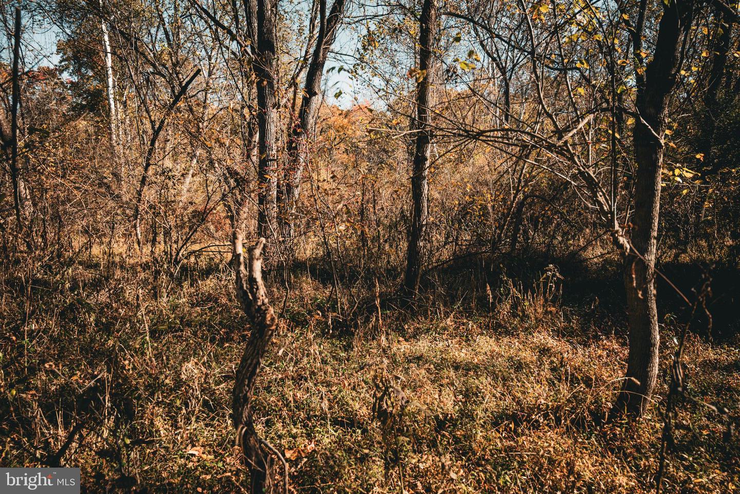 14603 COX MILL RD, GORDONSVILLE, Virginia 22942, ,Farm,For Sale,14603 COX MILL RD,VAOR2012628 MLS # VAOR2012628 14603 COX MILL RD, GORDONSVILLE, Virginia 22942, ,Farm,For Sale,14603 COX MILL RD,VAOR2012628 MLS # VAOR2012628