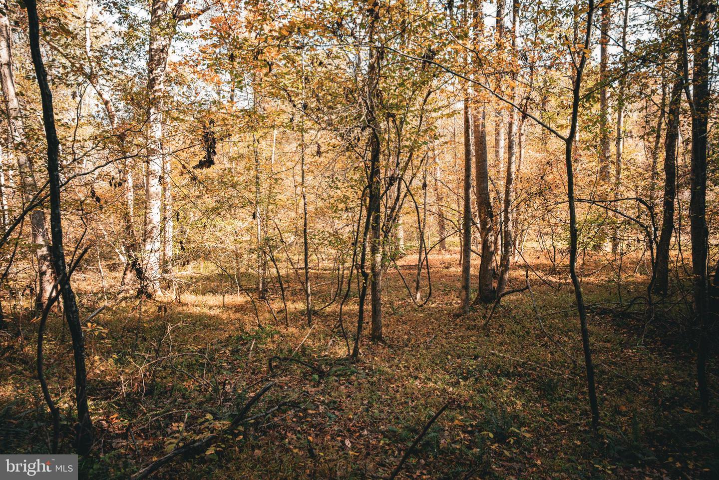 14603 COX MILL RD, GORDONSVILLE, Virginia 22942, ,Farm,For Sale,14603 COX MILL RD,VAOR2012628 MLS # VAOR2012628 14603 COX MILL RD, GORDONSVILLE, Virginia 22942, ,Farm,For Sale,14603 COX MILL RD,VAOR2012628 MLS # VAOR2012628