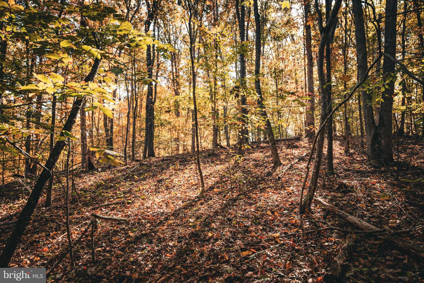 14603 COX MILL RD, GORDONSVILLE, Virginia 22942, ,Farm,For Sale,14603 COX MILL RD,VAOR2012628 MLS # VAOR2012628 14603 COX MILL RD, GORDONSVILLE, Virginia 22942, ,Farm,For Sale,14603 COX MILL RD,VAOR2012628 MLS # VAOR2012628