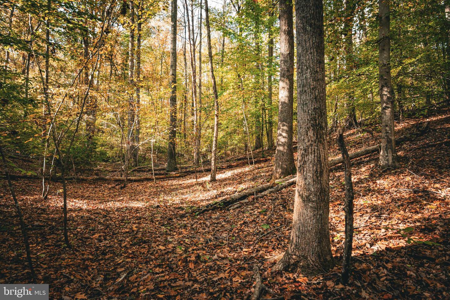 14603 COX MILL RD, GORDONSVILLE, Virginia 22942, ,Farm,For Sale,14603 COX MILL RD,VAOR2012628 MLS # VAOR2012628 14603 COX MILL RD, GORDONSVILLE, Virginia 22942, ,Farm,For Sale,14603 COX MILL RD,VAOR2012628 MLS # VAOR2012628