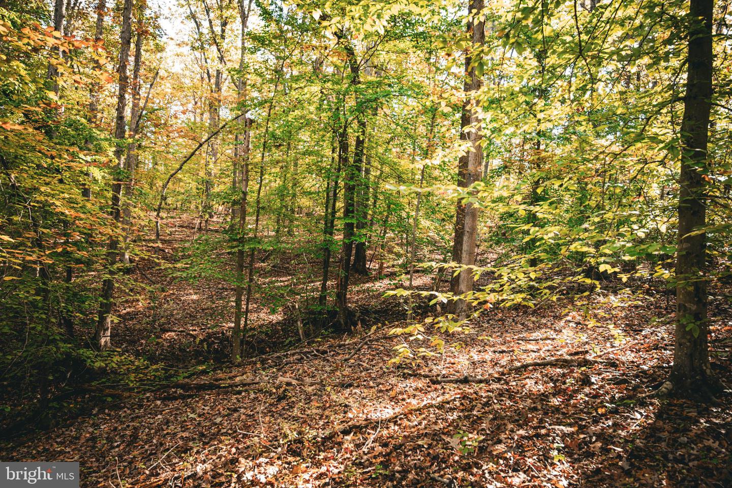 14603 COX MILL RD, GORDONSVILLE, Virginia 22942, ,Farm,For Sale,14603 COX MILL RD,VAOR2012628 MLS # VAOR2012628 14603 COX MILL RD, GORDONSVILLE, Virginia 22942, ,Farm,For Sale,14603 COX MILL RD,VAOR2012628 MLS # VAOR2012628