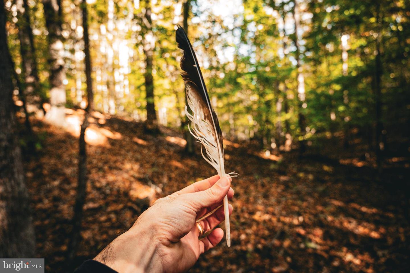 14603 COX MILL RD, GORDONSVILLE, Virginia 22942, ,Farm,For Sale,14603 COX MILL RD,VAOR2012628 MLS # VAOR2012628 14603 COX MILL RD, GORDONSVILLE, Virginia 22942, ,Farm,For Sale,14603 COX MILL RD,VAOR2012628 MLS # VAOR2012628