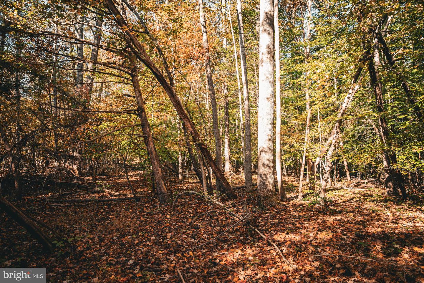 14603 COX MILL RD, GORDONSVILLE, Virginia 22942, ,Farm,For Sale,14603 COX MILL RD,VAOR2012628 MLS # VAOR2012628 14603 COX MILL RD, GORDONSVILLE, Virginia 22942, ,Farm,For Sale,14603 COX MILL RD,VAOR2012628 MLS # VAOR2012628