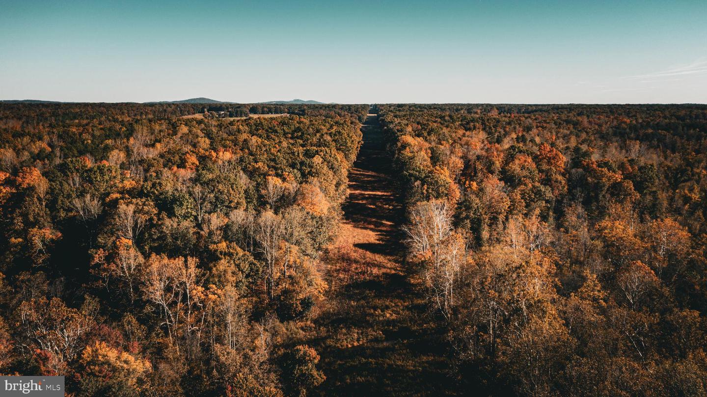 14603 COX MILL RD, GORDONSVILLE, Virginia 22942, ,Farm,For Sale,14603 COX MILL RD,VAOR2012628 MLS # VAOR2012628 14603 COX MILL RD, GORDONSVILLE, Virginia 22942, ,Farm,For Sale,14603 COX MILL RD,VAOR2012628 MLS # VAOR2012628