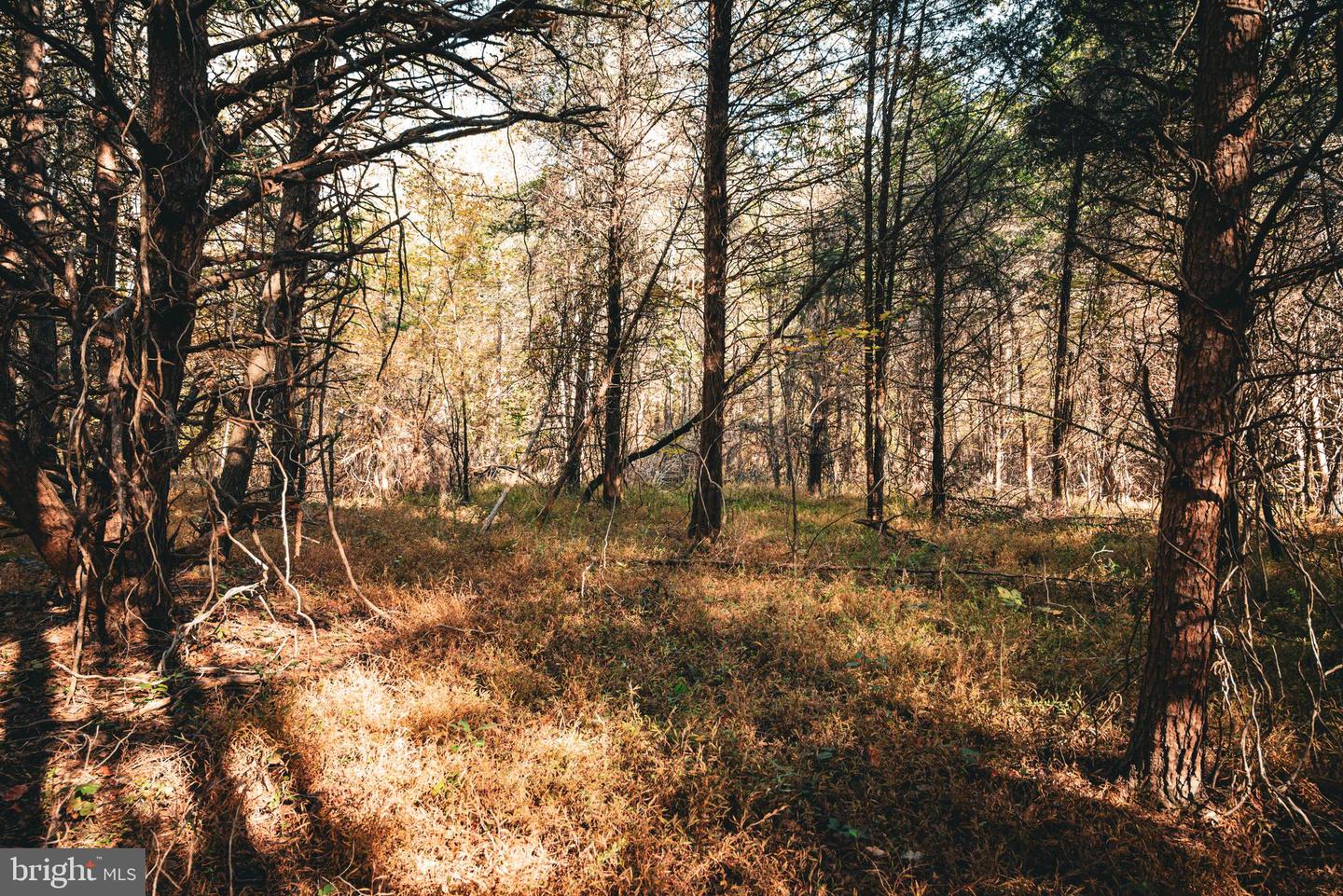 14603 COX MILL RD, GORDONSVILLE, Virginia 22942, ,Farm,For Sale,14603 COX MILL RD,VAOR2012628 MLS # VAOR2012628 14603 COX MILL RD, GORDONSVILLE, Virginia 22942, ,Farm,For Sale,14603 COX MILL RD,VAOR2012628 MLS # VAOR2012628