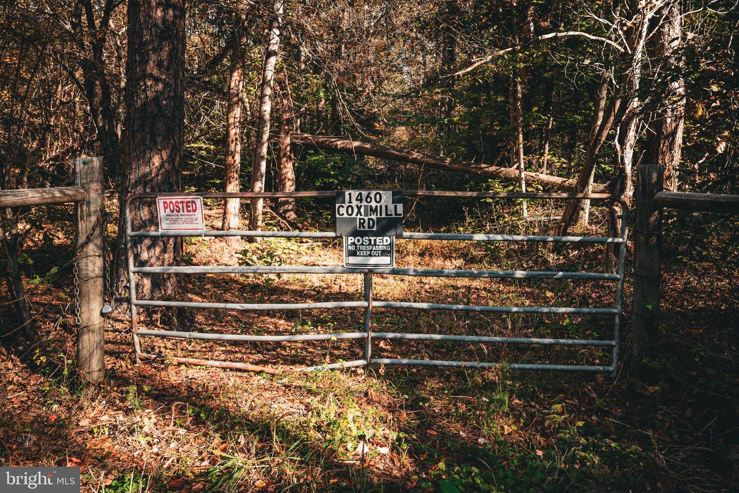14603 COX MILL RD, GORDONSVILLE, Virginia 22942, ,Farm,For Sale,14603 COX MILL RD,VAOR2012628 MLS # VAOR2012628 14603 COX MILL RD, GORDONSVILLE, Virginia 22942, ,Farm,For Sale,14603 COX MILL RD,VAOR2012628 MLS # VAOR2012628