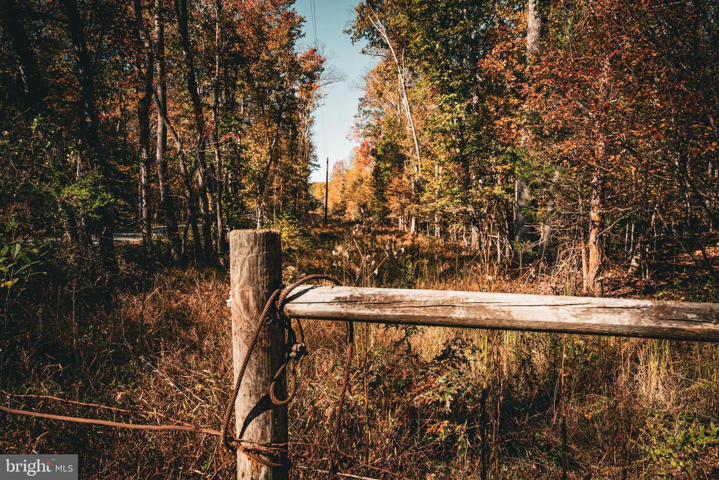 14603 COX MILL RD, GORDONSVILLE, Virginia 22942, ,Farm,For Sale,14603 COX MILL RD,VAOR2012628 MLS # VAOR2012628 14603 COX MILL RD, GORDONSVILLE, Virginia 22942, ,Farm,For Sale,14603 COX MILL RD,VAOR2012628 MLS # VAOR2012628