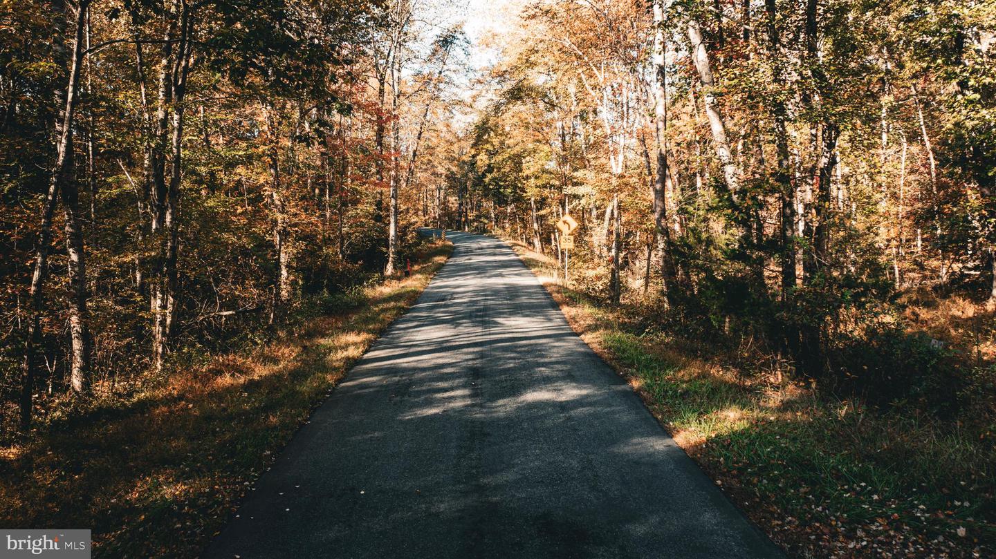 14603 COX MILL RD, GORDONSVILLE, Virginia 22942, ,Farm,For Sale,14603 COX MILL RD,VAOR2012628 MLS # VAOR2012628 14603 COX MILL RD, GORDONSVILLE, Virginia 22942, ,Farm,For Sale,14603 COX MILL RD,VAOR2012628 MLS # VAOR2012628