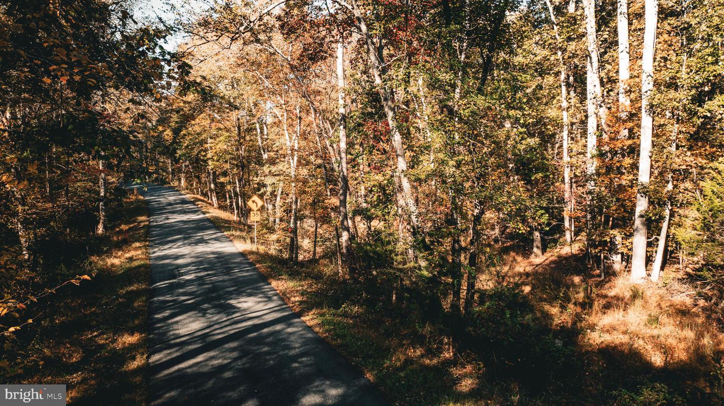 14603 COX MILL RD, GORDONSVILLE, Virginia 22942, ,Farm,For Sale,14603 COX MILL RD,VAOR2012628 MLS # VAOR2012628 14603 COX MILL RD, GORDONSVILLE, Virginia 22942, ,Farm,For Sale,14603 COX MILL RD,VAOR2012628 MLS # VAOR2012628