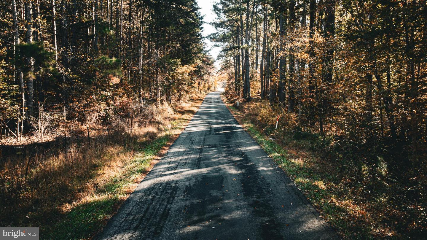 14603 COX MILL RD, GORDONSVILLE, Virginia 22942, ,Farm,For Sale,14603 COX MILL RD,VAOR2012628 MLS # VAOR2012628 14603 COX MILL RD, GORDONSVILLE, Virginia 22942, ,Farm,For Sale,14603 COX MILL RD,VAOR2012628 MLS # VAOR2012628