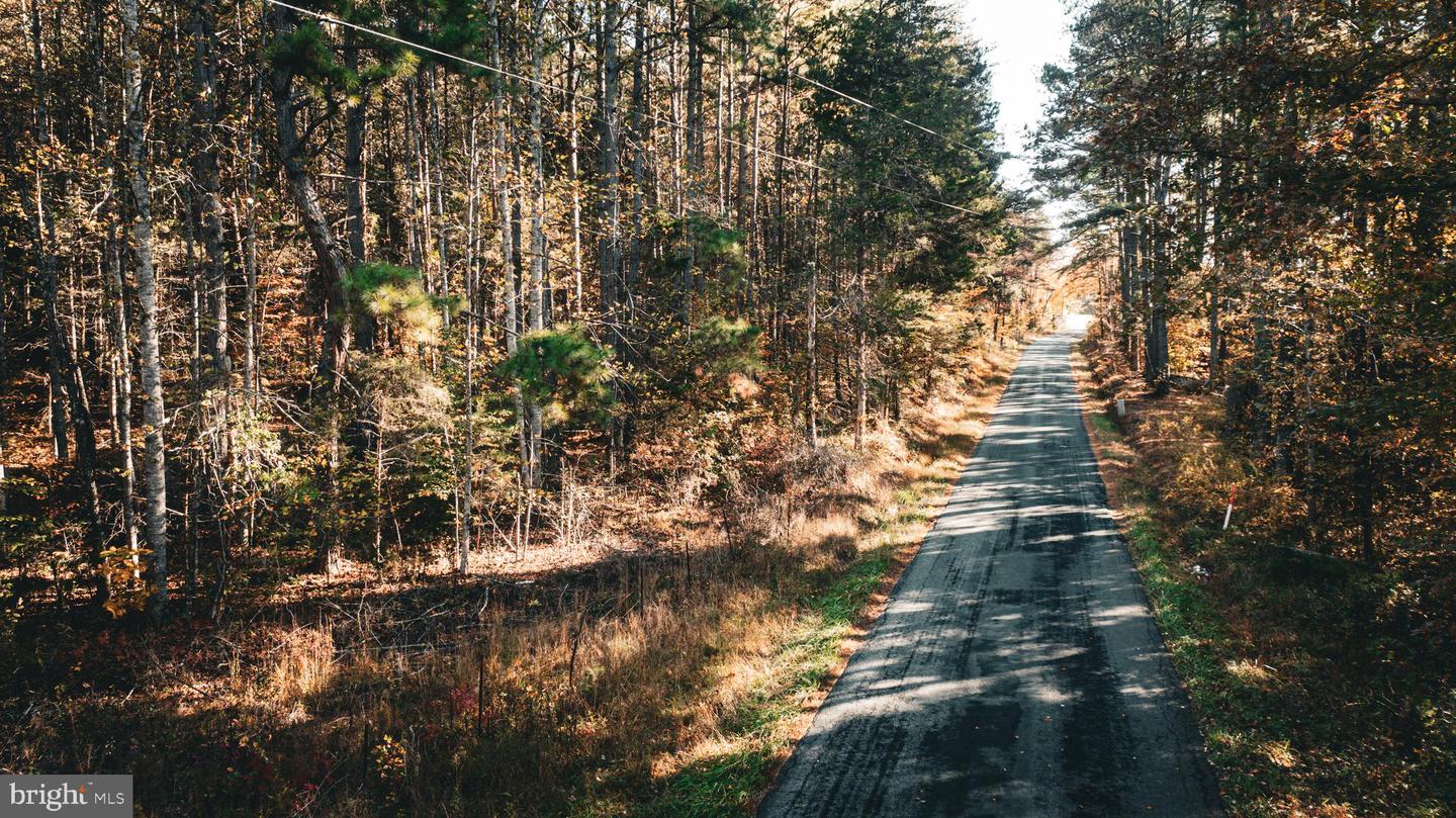 14603 COX MILL RD, GORDONSVILLE, Virginia 22942, ,Farm,For Sale,14603 COX MILL RD,VAOR2012628 MLS # VAOR2012628 14603 COX MILL RD, GORDONSVILLE, Virginia 22942, ,Farm,For Sale,14603 COX MILL RD,VAOR2012628 MLS # VAOR2012628