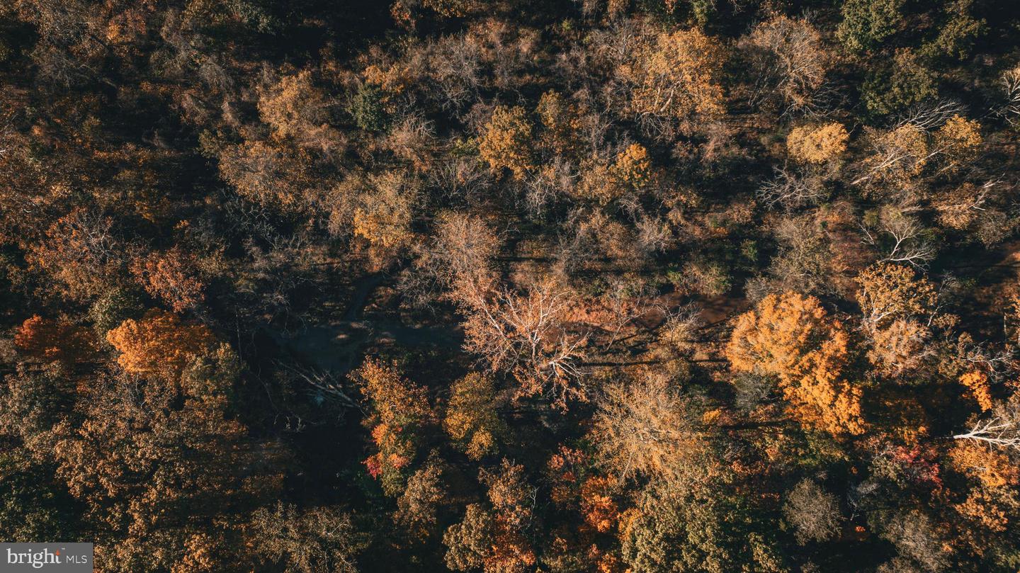 14603 COX MILL RD, GORDONSVILLE, Virginia 22942, ,Farm,For Sale,14603 COX MILL RD,VAOR2012628 MLS # VAOR2012628 14603 COX MILL RD, GORDONSVILLE, Virginia 22942, ,Farm,For Sale,14603 COX MILL RD,VAOR2012628 MLS # VAOR2012628