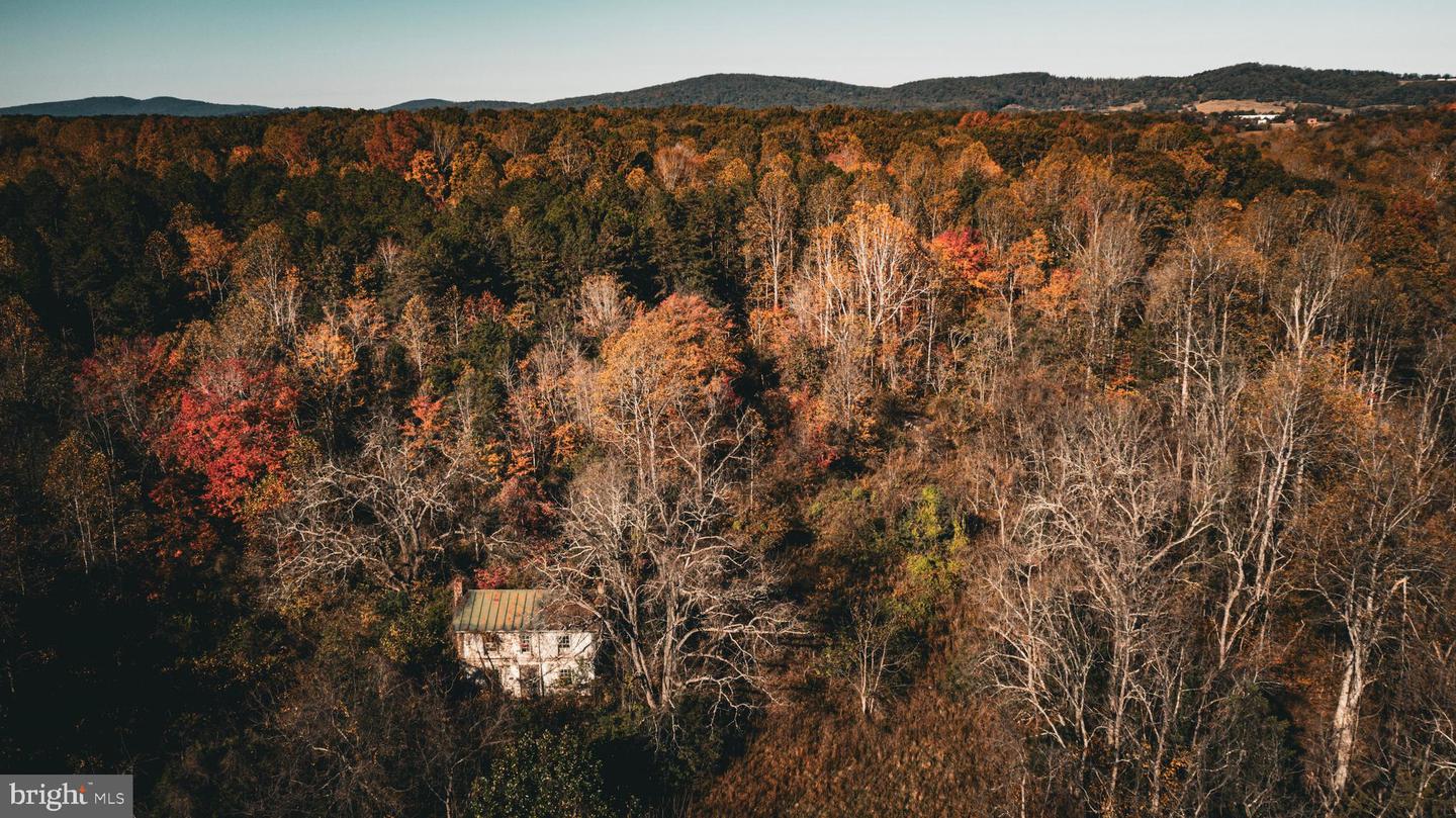 14603 COX MILL RD, GORDONSVILLE, Virginia 22942, ,Farm,For Sale,14603 COX MILL RD,VAOR2012628 MLS # VAOR2012628 14603 COX MILL RD, GORDONSVILLE, Virginia 22942, ,Farm,For Sale,14603 COX MILL RD,VAOR2012628 MLS # VAOR2012628