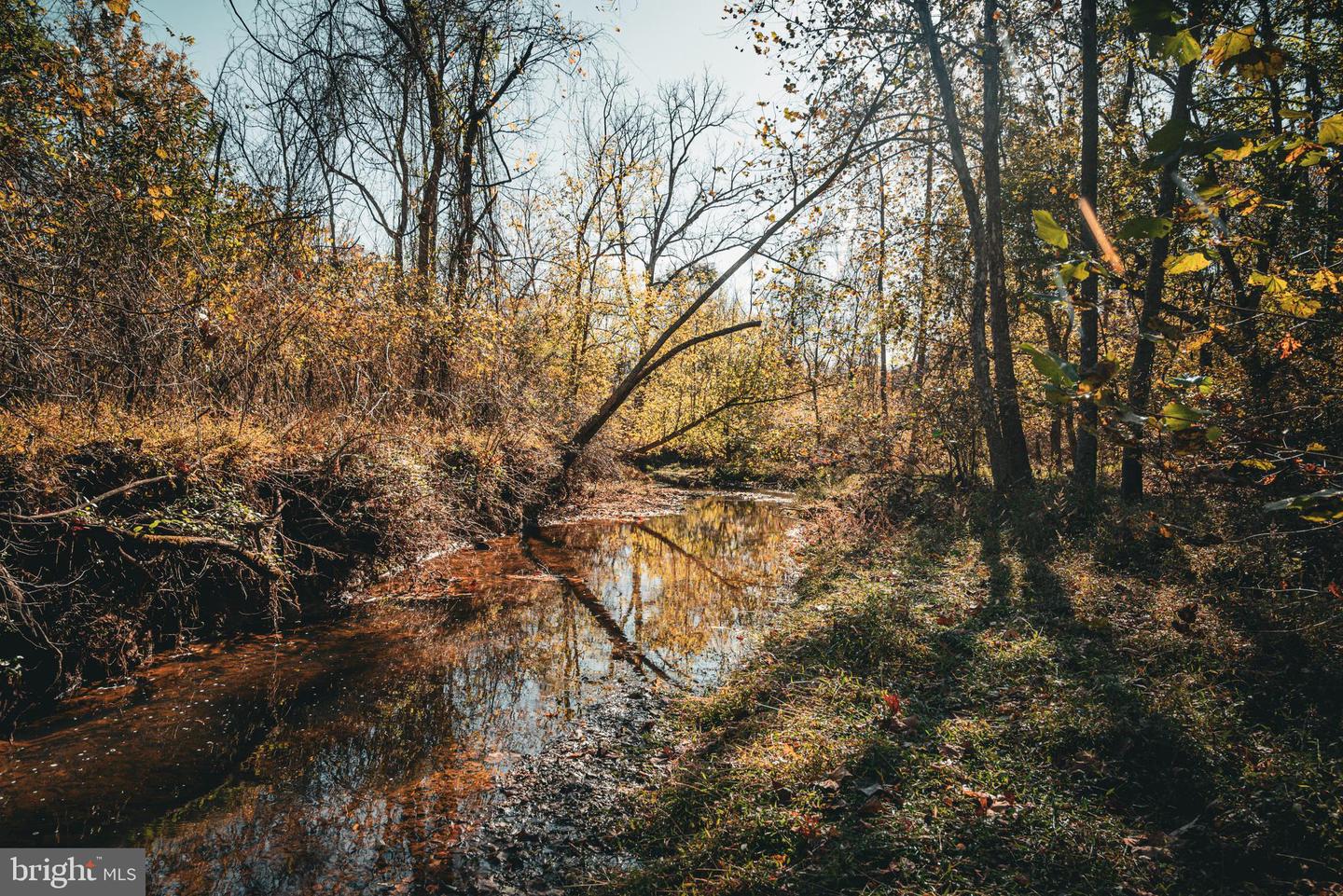 14603 COX MILL RD, GORDONSVILLE, Virginia 22942, ,Farm,For Sale,14603 COX MILL RD,VAOR2012628 MLS # VAOR2012628 14603 COX MILL RD, GORDONSVILLE, Virginia 22942, ,Farm,For Sale,14603 COX MILL RD,VAOR2012628 MLS # VAOR2012628