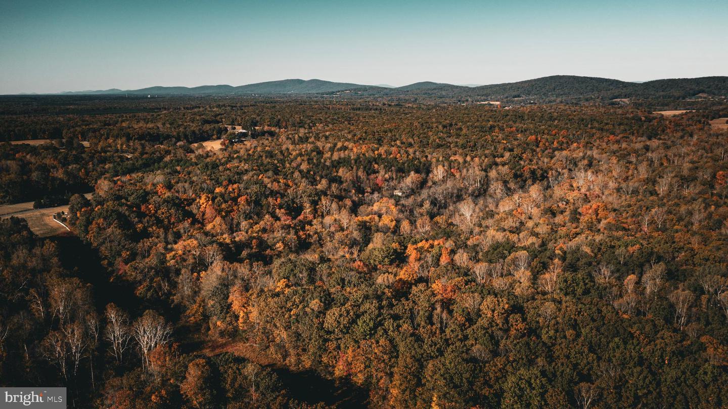 14603 COX MILL RD, GORDONSVILLE, Virginia 22942, ,Farm,For Sale,14603 COX MILL RD,VAOR2012628 MLS # VAOR2012628 14603 COX MILL RD, GORDONSVILLE, Virginia 22942, ,Farm,For Sale,14603 COX MILL RD,VAOR2012628 MLS # VAOR2012628