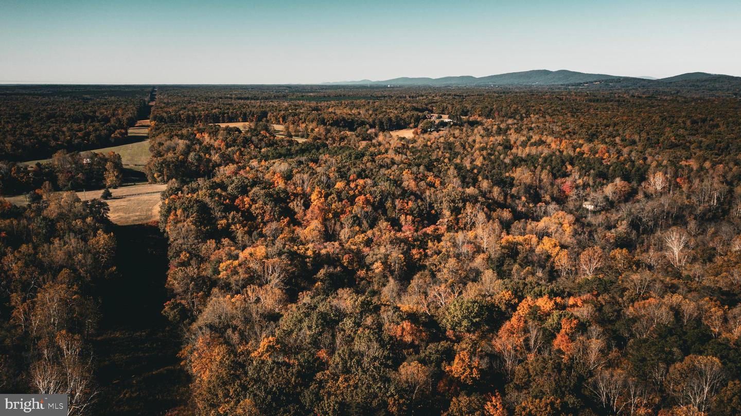 14603 COX MILL RD, GORDONSVILLE, Virginia 22942, ,Farm,For Sale,14603 COX MILL RD,VAOR2012628 MLS # VAOR2012628 14603 COX MILL RD, GORDONSVILLE, Virginia 22942, ,Farm,For Sale,14603 COX MILL RD,VAOR2012628 MLS # VAOR2012628