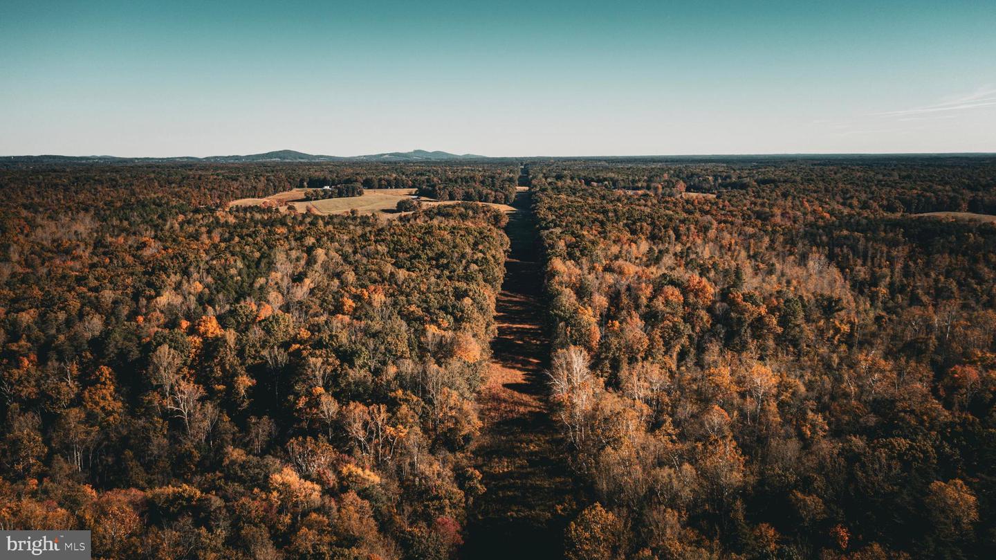 14603 COX MILL RD, GORDONSVILLE, Virginia 22942, ,Farm,For Sale,14603 COX MILL RD,VAOR2012628 MLS # VAOR2012628 14603 COX MILL RD, GORDONSVILLE, Virginia 22942, ,Farm,For Sale,14603 COX MILL RD,VAOR2012628 MLS # VAOR2012628