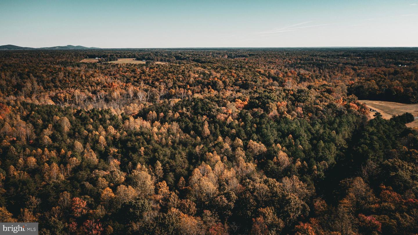 14603 COX MILL RD, GORDONSVILLE, Virginia 22942, ,Farm,For Sale,14603 COX MILL RD,VAOR2012628 MLS # VAOR2012628 14603 COX MILL RD, GORDONSVILLE, Virginia 22942, ,Farm,For Sale,14603 COX MILL RD,VAOR2012628 MLS # VAOR2012628