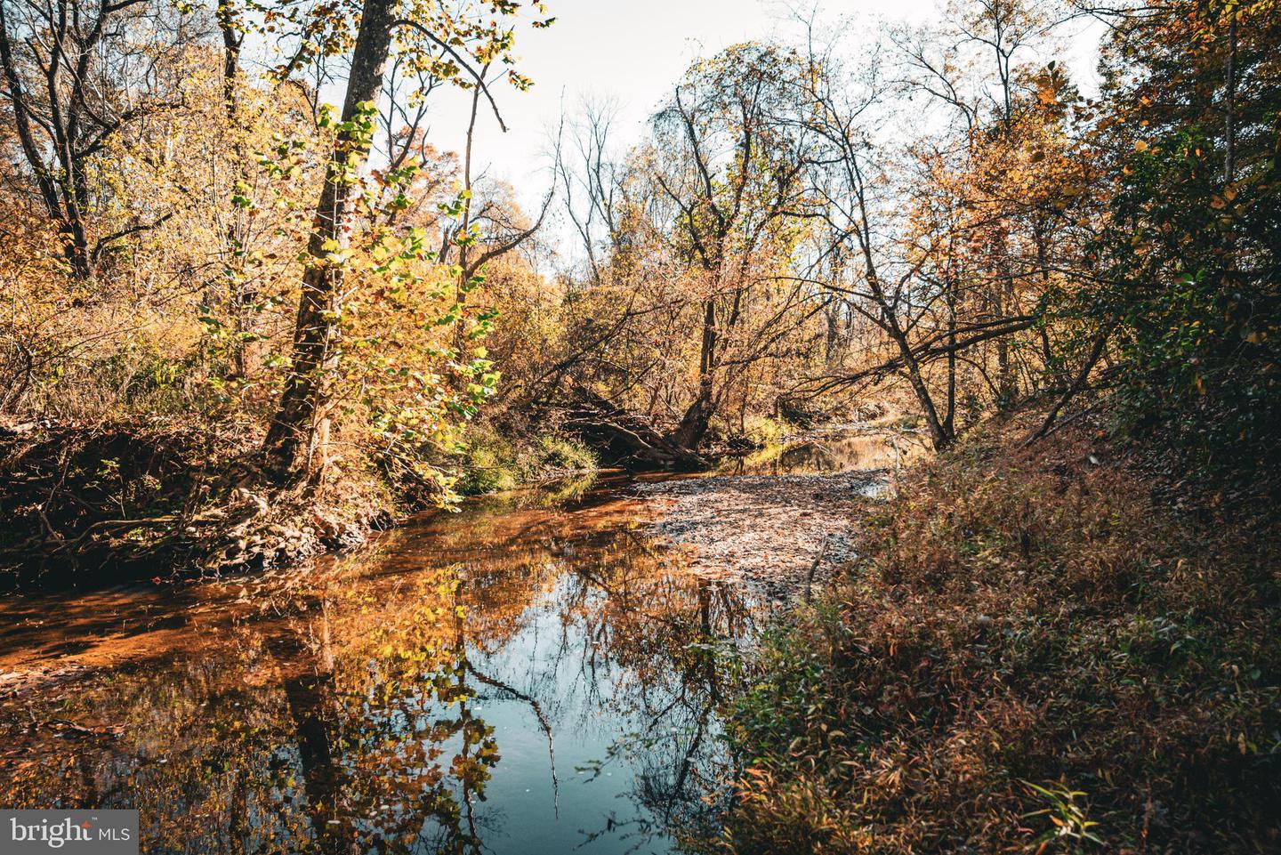 14603 COX MILL RD, GORDONSVILLE, Virginia 22942, ,Farm,For Sale,14603 COX MILL RD,VAOR2012628 MLS # VAOR2012628 14603 COX MILL RD, GORDONSVILLE, Virginia 22942, ,Farm,For Sale,14603 COX MILL RD,VAOR2012628 MLS # VAOR2012628