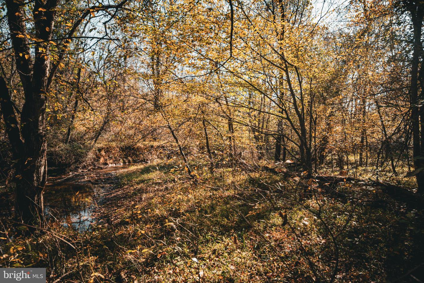 14603 COX MILL RD, GORDONSVILLE, Virginia 22942, ,Farm,For Sale,14603 COX MILL RD,VAOR2012628 MLS # VAOR2012628 14603 COX MILL RD, GORDONSVILLE, Virginia 22942, ,Farm,For Sale,14603 COX MILL RD,VAOR2012628 MLS # VAOR2012628