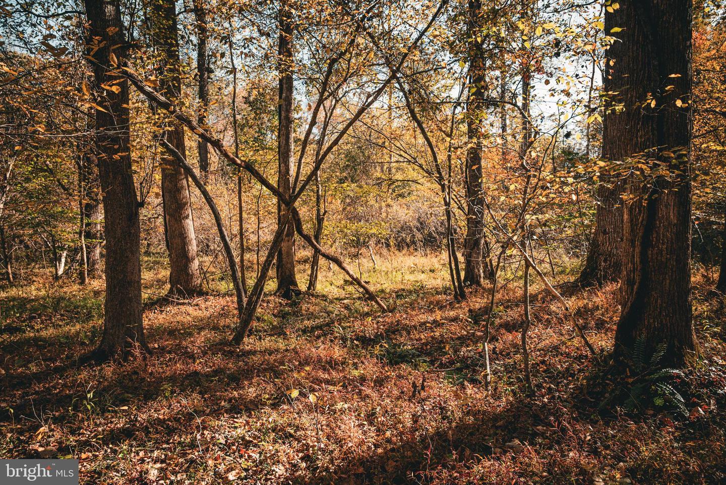 14603 COX MILL RD, GORDONSVILLE, Virginia 22942, ,Farm,For Sale,14603 COX MILL RD,VAOR2012628 MLS # VAOR2012628 14603 COX MILL RD, GORDONSVILLE, Virginia 22942, ,Farm,For Sale,14603 COX MILL RD,VAOR2012628 MLS # VAOR2012628