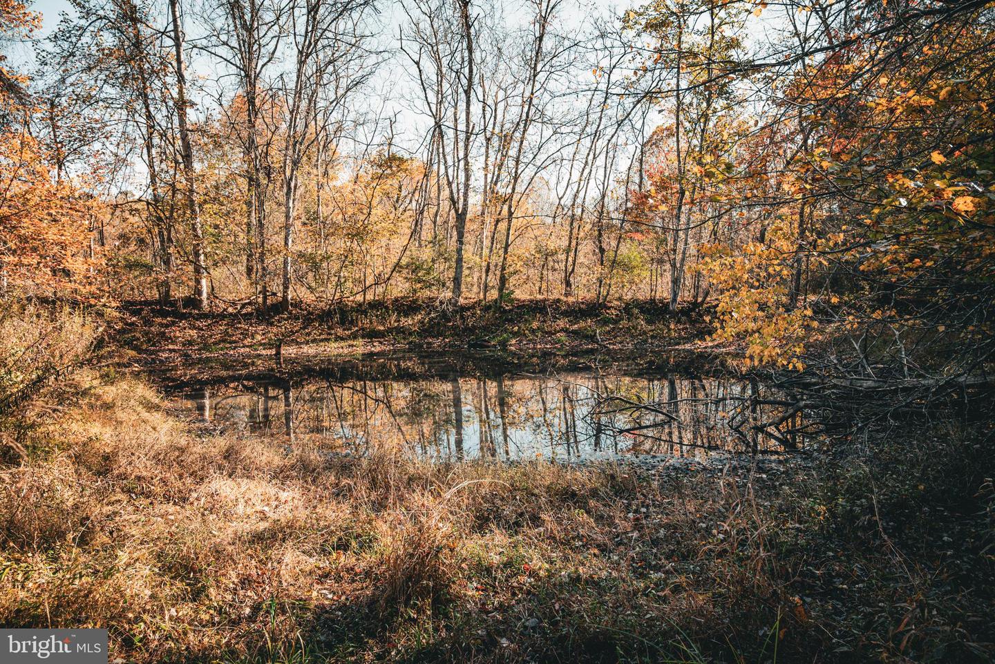 14603 COX MILL RD, GORDONSVILLE, Virginia 22942, ,Farm,For Sale,14603 COX MILL RD,VAOR2012628 MLS # VAOR2012628 14603 COX MILL RD, GORDONSVILLE, Virginia 22942, ,Farm,For Sale,14603 COX MILL RD,VAOR2012628 MLS # VAOR2012628