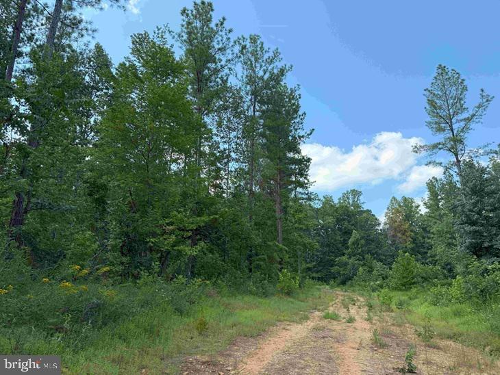DOGWOOD DRIVE (TRACT: JR BEDFORD-BOWLES_SIMS-3), COLUMBIA, Virginia 23038, ,Farm,For Sale,DOGWOOD DRIVE (TRACT: JR BEDFORD-BOWLES_SIMS-3),VAFN2000524 MLS # VAFN2000524 DOGWOOD DRIVE (TRACT: JR BEDFORD-BOWLES_SIMS-3), COLUMBIA, Virginia 23038, ,Farm,For Sale,DOGWOOD DRIVE (TRACT: JR BEDFORD-BOWLES_SIMS-3),VAFN2000524 MLS # VAFN2000524