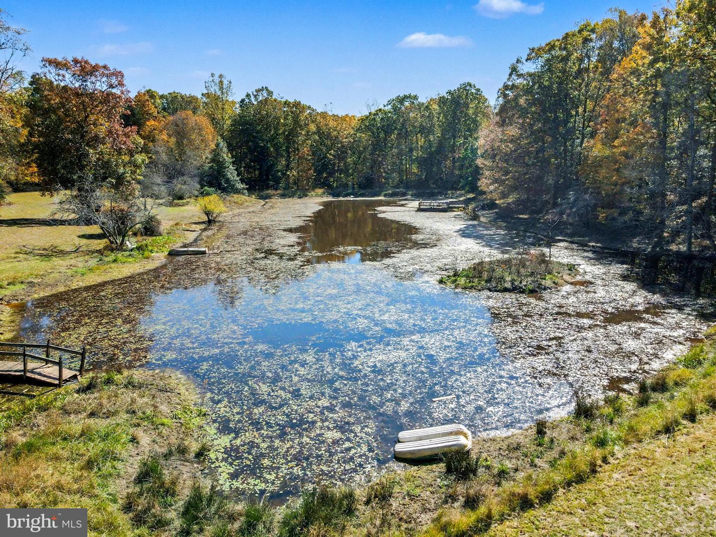 28282 RACCOON FORD RD, BURR HILL, Virginia 22433, ,Farm,For Sale,28282 RACCOON FORD RD,VAOR2012612 MLS # VAOR2012612 28282 RACCOON FORD RD, BURR HILL, Virginia 22433, ,Farm,For Sale,28282 RACCOON FORD RD,VAOR2012612 MLS # VAOR2012612