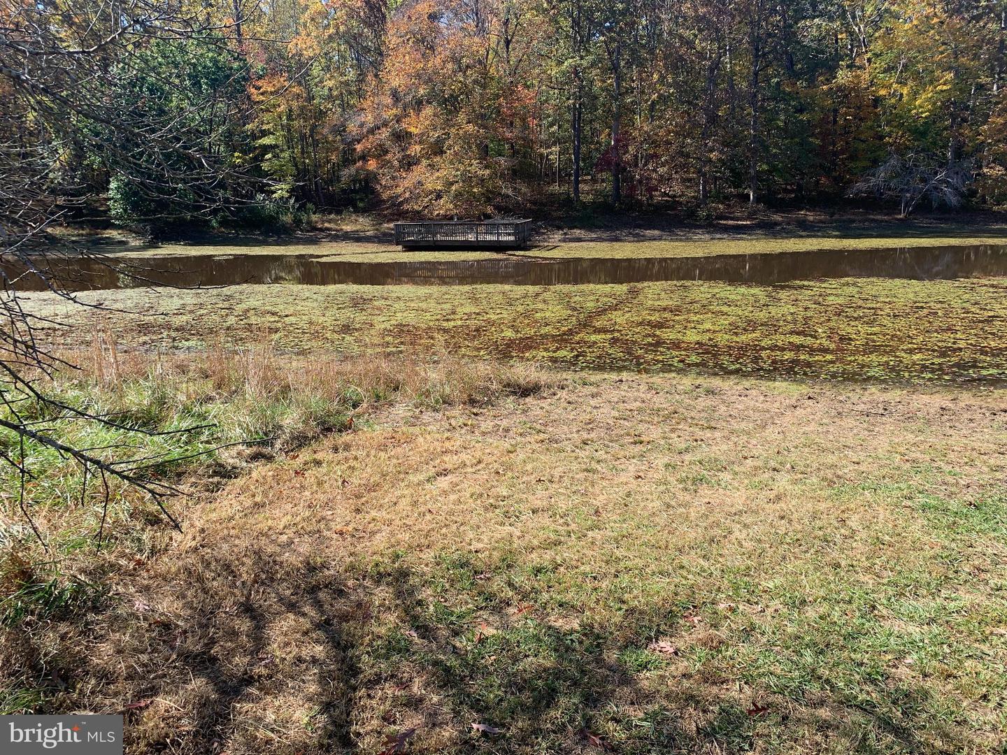 28282 RACCOON FORD RD, BURR HILL, Virginia 22433, ,Farm,For Sale,28282 RACCOON FORD RD,VAOR2012612 MLS # VAOR2012612 28282 RACCOON FORD RD, BURR HILL, Virginia 22433, ,Farm,For Sale,28282 RACCOON FORD RD,VAOR2012612 MLS # VAOR2012612
