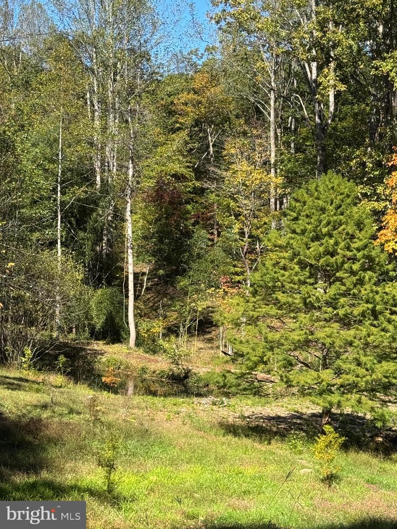 25 FALLING SPRINGS DR, AFTON, Virginia 22920, 3 Bedrooms Bedrooms, ,2 BathroomsBathrooms,Residential,For Sale,25 FALLING SPRINGS DR,VANL2000606 MLS # VANL2000606