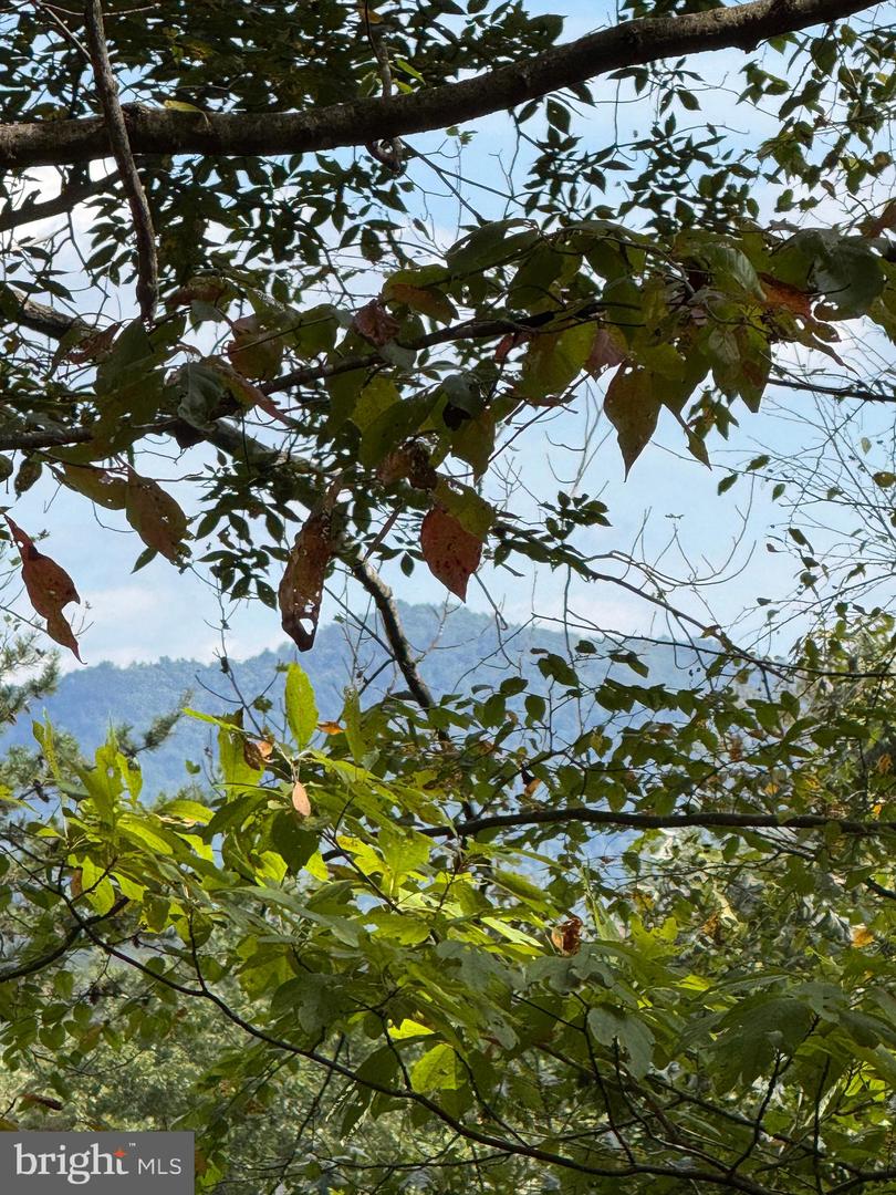 25 FALLING SPRINGS DR, AFTON, Virginia 22920, 3 Bedrooms Bedrooms, ,2 BathroomsBathrooms,Residential,For Sale,25 FALLING SPRINGS DR,VANL2000606 MLS # VANL2000606